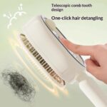 Electric Spray Airbag Massage Comb Essential Oil Atomized Hair Brush Anti-static Salon Fluffy Modeling Hair Care Tools - Image 9
